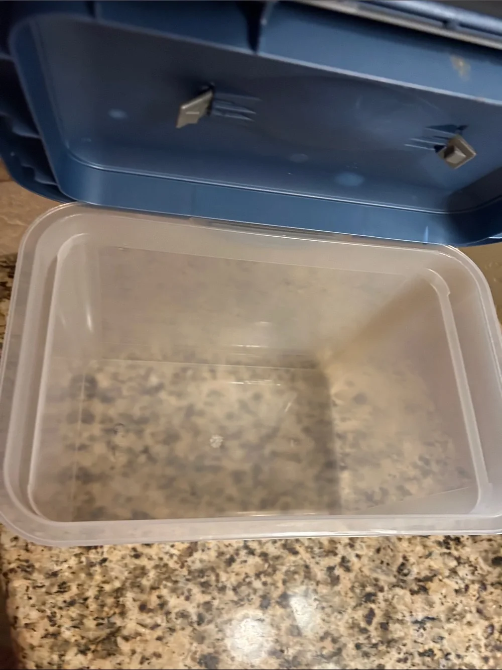 Sterilite Storage Lid with Gold Handle Accent